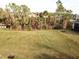 View of a grassy backyard with trees and pond at 19060 Moscato Ct, Venice, FL 34293