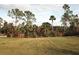 View of a natural landscape with trees and grass at 19060 Moscato Ct, Venice, FL 34293