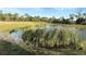 Natural retention pond with lush vegetation at 19060 Moscato Ct, Venice, FL 34293