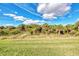 Peaceful nature view with lush vegetation and trees at 13033 N Marsh Dr, Port Charlotte, FL 33953