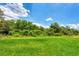 Large backyard with lush green grass and mature trees at 2844 Myakka Creek Ct, Port Charlotte, FL 33953
