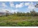 View from screened balcony overlooking lush greenery at 3929 Cape Haze Dr # 105, Rotonda West, FL 33947