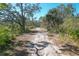 Park trail meanders through the Lemon Bay Park, showcasing Florida foliage at 931 Caples St, Englewood, FL 34223