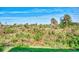Enjoy the natural beauty of the Florida preserve at 3393 Grand Vista Ct # 201, Port Charlotte, FL 33953