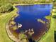 Aerial view of serene lake with lush green surroundings at 13384 Creekside Ln, Port Charlotte, FL 33953