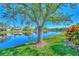 Tranquil waterfront view with a large tree and vibrant plants at 3179 Osprey Ln, Port Charlotte, FL 33953