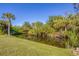 Peaceful waterfront view with lush vegetation and a canal at 6096 Bowie Ln, Englewood, FL 34224