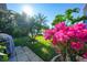 Landscaped backyard with lush greenery and vibrant bougainvillea at 6571 Talon Bay Dr, North Port, FL 34287