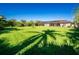Large grassy backyard with palm tree shadows at 109 Bonita Dr, Rotonda West, FL 33947