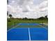 Outdoor pickleball court offers a fun recreational amenity with blue and green surface and net against a scenic backdrop at 6341 Biggs St, Englewood, FL 34224
