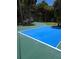 Outdoor sports court surrounded by lush trees and greenery at 6341 Biggs St, Englewood, FL 34224