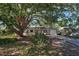 House exterior featuring a single-story home with a large tree and driveway at 1860 Bluebird Ln, Englewood, FL 34224