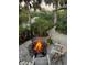 Enjoy evenings by the fire pit in this relaxing outdoor space at 4656 Pompano St, Placida, FL 33946