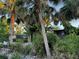 Tropical landscape and a glimpse of the canal at 4656 Pompano St, Placida, FL 33946