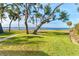Expansive grassy yard with mature trees, leading to waterfront views at 99 W Riverview Ave, Englewood, FL 34223