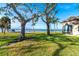 Landscaped waterfront yard with large oak trees at 99 W Riverview Ave, Englewood, FL 34223