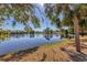 Tranquil lake view framed by trees and palm fronds at 691 Linden Dr, Englewood, FL 34223