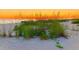 Scenic beach view with lush dune grass, bathed in the warm hues of a vibrant sunset at 9526 Jolly Roger Trl, Placida, FL 33946