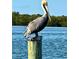 Brown pelican perched on a wooden post by the water at 9526 Jolly Roger Trl, Placida, FL 33946