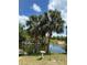 Picturesque waterfront scene with tall palm trees, a bird bath, and a wooden dock on a calm canal at 328 Baytree Dr, Rotonda West, FL 33947
