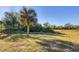 An open grass backyard with native trees, vegetation, and a palm tree at 119 White Pine Dr, Rotonda West, FL 33947