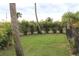 Lush green backyard with grass and palm trees, and a dark fence along the perimeter at 170 Antilla Dr, Rotonda West, FL 33947