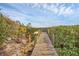 Wooden boardwalk path leads through lush foliage offering tranquil access to pristine beachfront, creating a private oasis at 7475 Manasota Key Rd, Englewood, FL 34223
