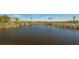 Scenic view of a serene pond surrounded by natural vegetation and trees at 10045 Links Ln # 203, Rotonda West, FL 33947