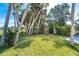 Lush backyard with mature trees, green grass, and a shed, creating a serene and private outdoor space at 891 Harmony Ln, Englewood, FL 34223