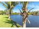 Scenic waterfront view with palm trees on the grassy bank at 891 Harmony Ln, Englewood, FL 34223