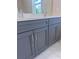 Close-up of a double sink vanity featuring gray shaker cabinets at 2814 Vogler Ln, North Port, FL 34286