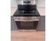 Close-up of a stainless steel Frigidaire oven in a modern kitchen at 2814 Vogler Ln, North Port, FL 34286