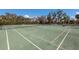 Well-maintained tennis courts surrounded by lush greenery offer residents an active lifestyle at 11000 Placida Rd # 301, Placida, FL 33946