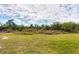 Wide shot of backyard with lush greenery, grass, and lots of sunshine at 10307 Grail Ave, Englewood, FL 34224