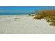 Serene beach scene with white sand, clear water, and natural dune vegetation at 11000 Placida Rd # 101, Placida, FL 33946