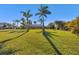 Expansive backyard with lush grass, mature palm trees, and well-maintained landscaping at 100 Hobo Rd, Rotonda West, FL 33947