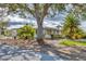 Modest single-story home featuring tropical landscaping with mature trees and shrubs at 295 North Dr, Englewood, FL 34223