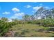 A lovely green backyard with tropical plants and trees under a bright blue sky with clouds at 1320 Bayshore Dr, Englewood, FL 34223