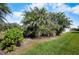 A vibrant green yard with mature palm trees and lush green bushes in a sunny setting at 194 Sunset Rd, Rotonda West, FL 33947