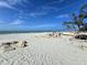 Beautiful beach with white sands and clear turquoise water under a bright blue sky at 40 Sand Dollar Ln, Englewood, FL 34223