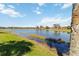 Scenic view of the lakefront property, showing a tranquil lake, lush grass, and some shoreline plants at 10508 Crooked Creek Dr, Venice, FL 34293