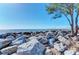 Rocky beach with a large tree and the ocean in the background at 10953 Bullrush Dr, Venice, FL 34293