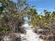 Sandy path leads to a serene beach, framed by lush tropical foliage and the tranquil blue ocean at 16250 Sunset Pines Cir, Boca Grande, FL 33921