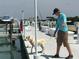 Dock with person and dog at 16250 Sunset Pines Cir, Boca Grande, FL 33921