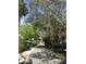 A shaded street features golf cart transportation at 16250 Sunset Pines Cir, Boca Grande, FL 33921