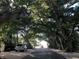 A shady road with large banyan trees on either side at 16250 Sunset Pines Cir, Boca Grande, FL 33921