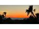 Gorgeous sunset over the ocean as seen through tropical trees at 16250 Sunset Pines Cir, Boca Grande, FL 33921