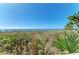 Scenic beach view with clear blue skies, lush vegetation, and glimpses of people enjoying the ocean at 17 Dominica Dr, Englewood, FL 34223