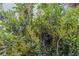Lush green foliage fills the frame, showcasing the natural beauty of the surrounding landscape at 184 Eppinger Dr, Port Charlotte, FL 33953