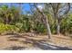 Backyard featuring fire pit with wooded views and mature trees at 4050 Rock Creek Dr, Port Charlotte, FL 33948